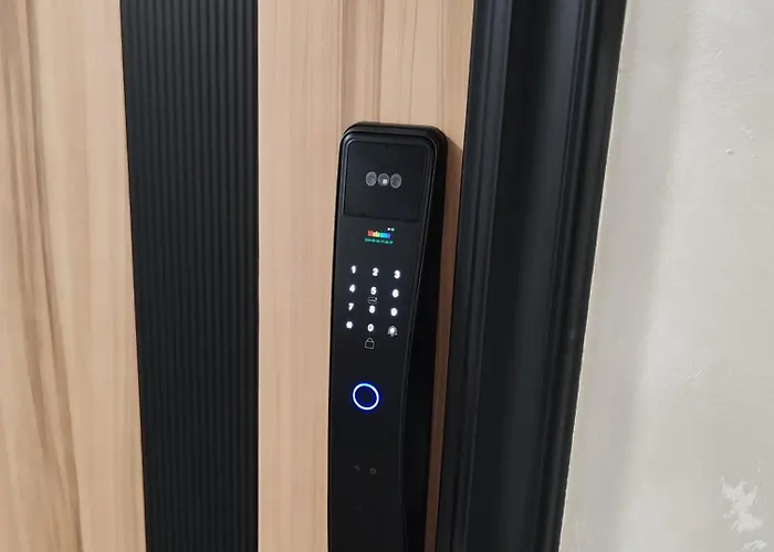 Arija * Велико-Градиште